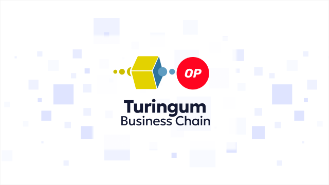 オリジナルブロックチェーン構築サービス 「Turingum Business Chain」